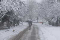 Νέα πρόγνωση για -12 στην Ελλάδα και χιόνια στα πεδινά: «Καρφιά» μετεωρολόγων