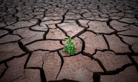 Κλιματική αλλαγή: Η ξηρασία απειλεί την Ελλάδα - Δυσοίωνες προβλέψεις για δύο περιοχές