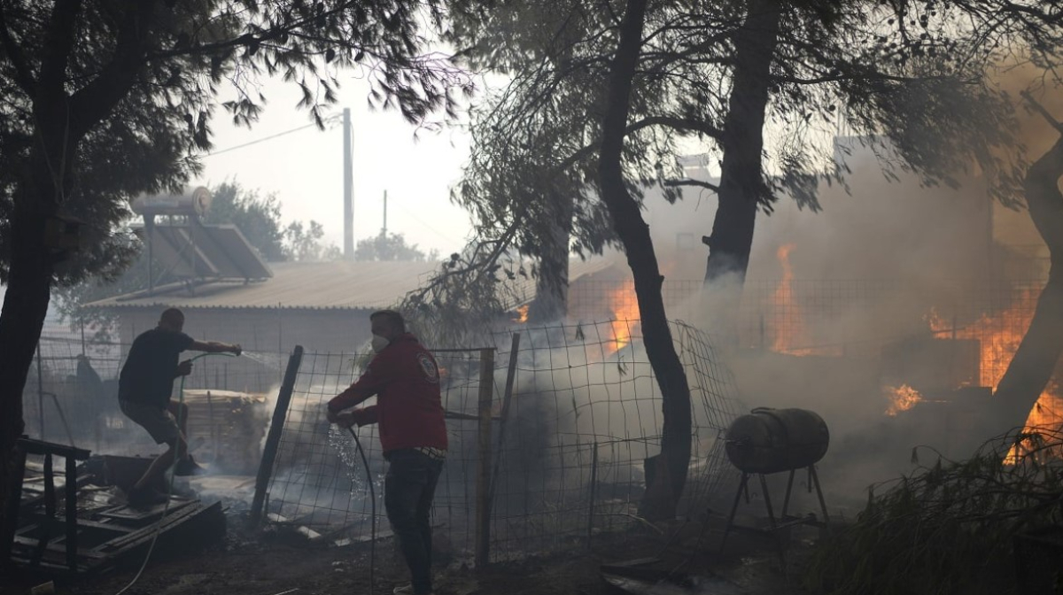 Φωτιά στον Έβρο: Ξεκινούν τη Δευτέρα οι αιτήσεις για τους πυρόπληκτους στην Αλεξανδρούπολη - Διευρκρινίσεις για τις αγροτικές εκτάσεις