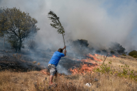 Νέα φωτιά στην Εύβοια: Κοντά στα σπίτια στο Μαρμάρι οι φλόγες, εκκενώθηκαν οικισμοί
