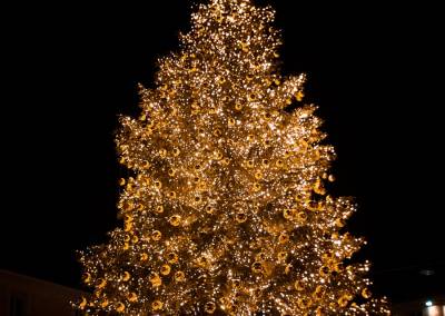 Σιβηρία: Αντιδράσεις από το τεράστιο χριστουγεννιάτικο δέντρο