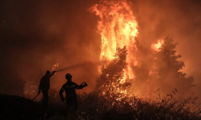 Μάχη στα μέτωπα της φωτιάς - Η εικόνα σε Εύβοια, Βοιωτία, Ροδόπη και Κύθνο