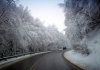 Πυκνές χιονοπτώσεις σε Ιωάννινα, Φλώρινα, Νάουσα - Σε κατάσταση ανάγκης το Αγρίνιο (Βίντεο)