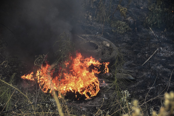 Φωτιά τώρα στην Αττική: Πυρκαγιά ξέσπασε στον Ωρωπό