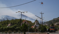 Φωτιά στα Βίλια: Πού έχει διακοπεί η κυκλοφορία οχημάτων