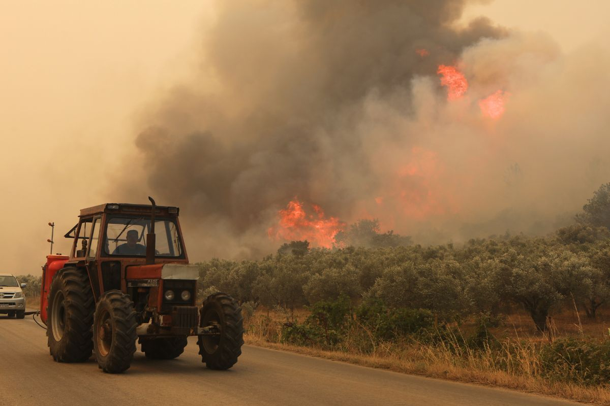Η φωτιά συνεχίζει να καίει τον Έβρο: Νέα εκκένωση οικισμών - Σοβαρές αναζωπυρώσεις στην Κοτρωνιά