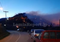 Φθιώτιδα: Σε ένα μέτωπο η μεγάλη φωτιά στη Μενδενίτσα (εικόνες - βίντεο)