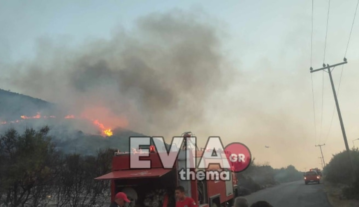 Φωτιά στην Εύβοια - Δίπλα σε εργοστάσιο της ΔΕΗ (Εικόνες - Βίντεο)