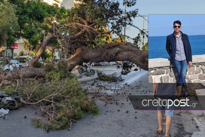 Τραγωδία στην Κρήτη: «Θα κινηθούμε νομικά» λέει ο γιος του 50χρονου που καταπλακώθηκε από δέντρο