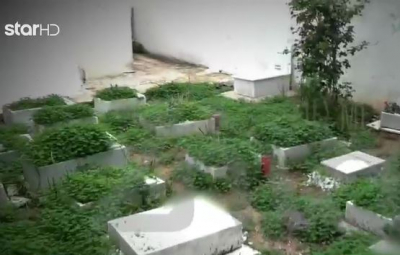 Καλύβια: Παράνομο νεκροταφείο με τάφους παιδιών σε αυλή σπιτιού ιερέα