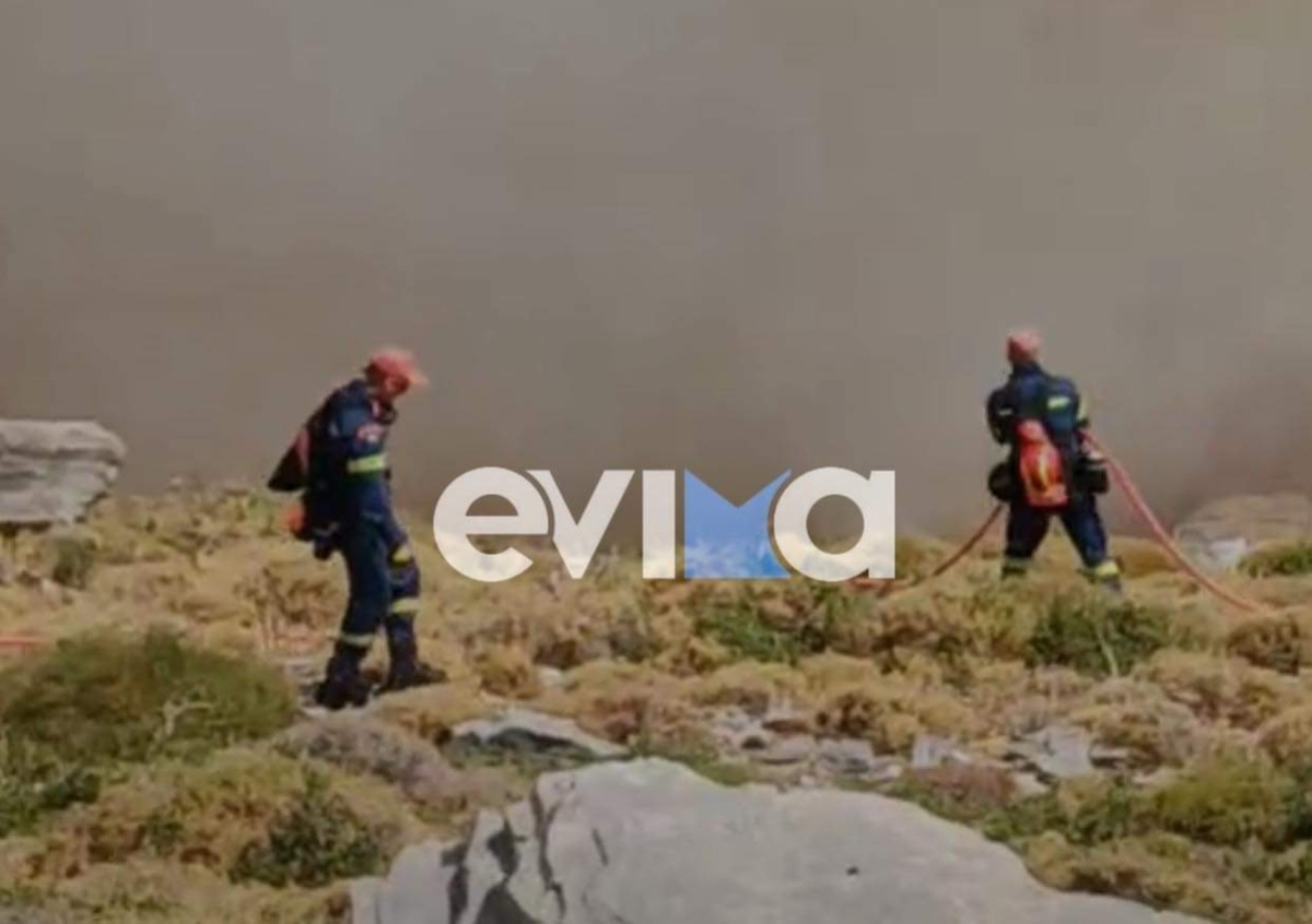 Φωτιά στην Κάρυστο: Σε δύσβατο σημείο το μέτωπο της πυρκαγιάς (Βίντεο)