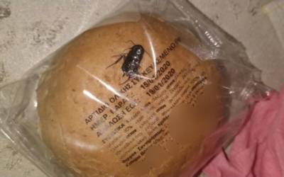 Άνω Λιόσια: Κατσαρίδα σε συσκευασία ψωμιού σε δημοτικό σχολείο