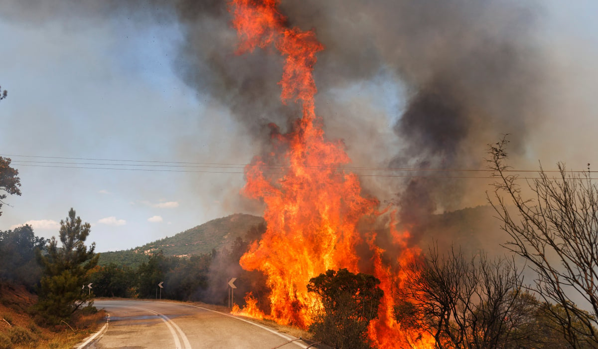 Φωτιά στον Έβρο: Νέα εκκένωση οικισμού - «Απομακρυνθείτε προς Κομοτηνή»