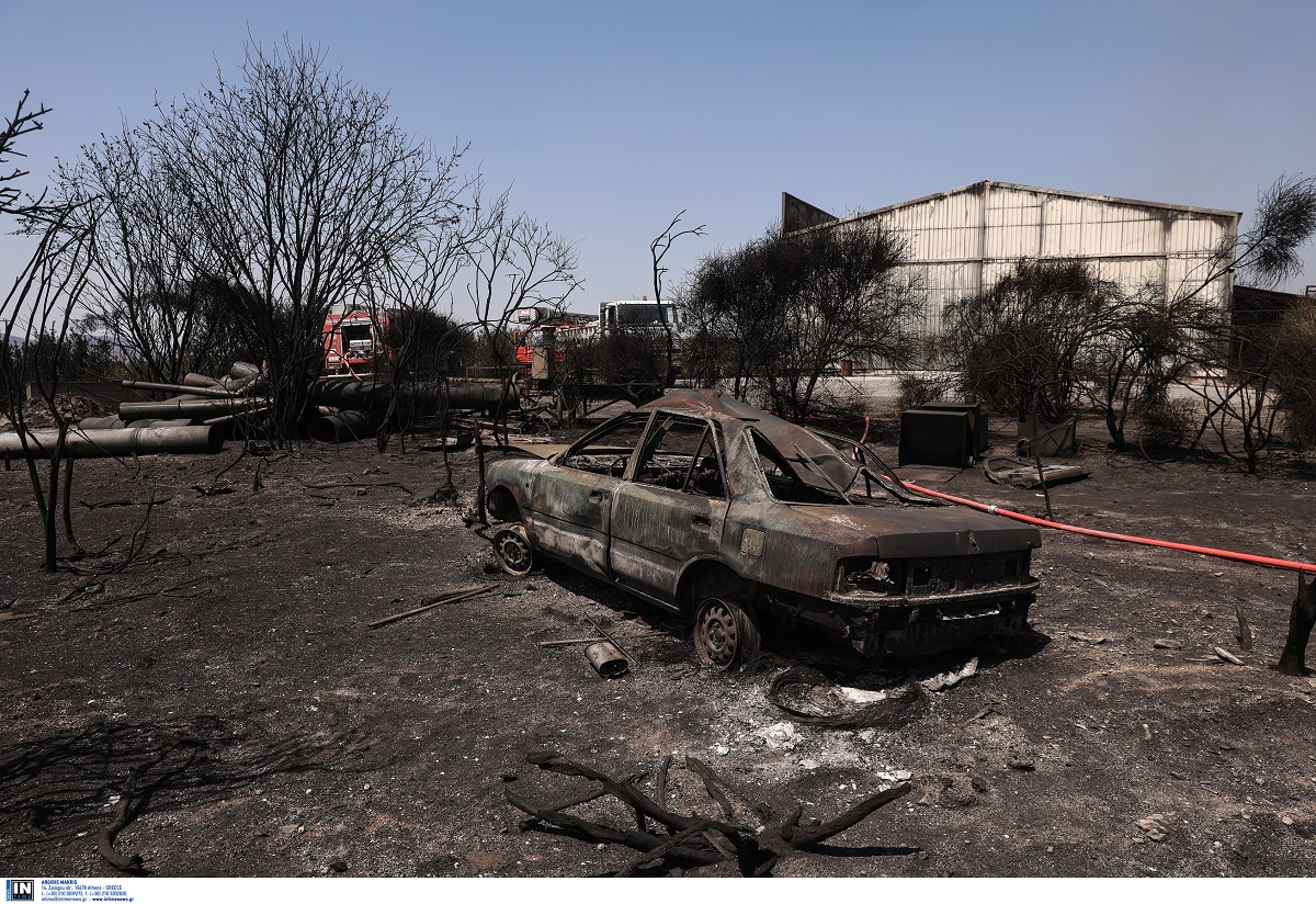 Φωτιά στη Μαγνησία: Καταγραφές ζημιών και αποκατάσταση βλαβών - Ενεργοποίηση ΕΛΓΑ, πληροφορίες και τηλέφωνα