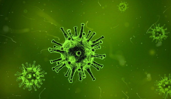Ευλογιά των πιθήκων: Μαγιορκίνης - Δημόπουλος ξεκαθαρίζουν τα πάντα για τον ιό