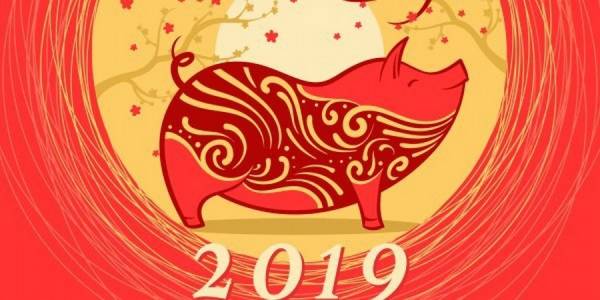Ξεκινά στην Κίνα η «Χρονιά του Χοίρου»