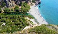 Η τροπική παραλία της Ελλάδας με το ποτάμι και το φοινικόδασος