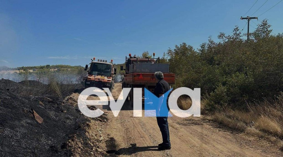 Φωτιά στην Εύβοια: Υπό μερικό έλεγχο η πυρκαγιά στον Πισσώνα