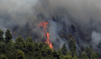 Ελασσόνα: Φωτιά τώρα στο χωριό Σαραντάπορο