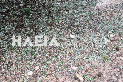 Σφοδρή χαλαζόπτωση στην Ηλεία - Μεγάλες καταστροφές σε ελαιόδεντρα (εικόνες)
