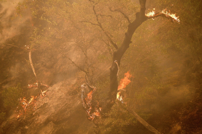 Ανεξέλεγκτη η πυρκαγιά στην Καλιφόρνια κατευθύνεται στο Πάρκο Γιοσέμιτι