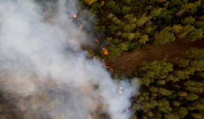 Μάχη με τις αναζωπυρώσεις στις φωτιές σε Πάρνηθα, Έβρο, Ροδόπη, Βοιωτία