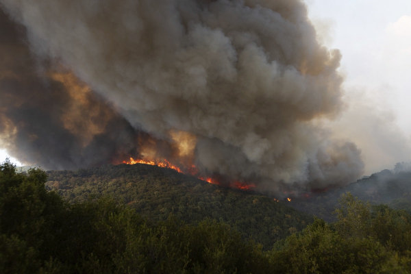 Φωτιά στον Έβρο: Καίει για 12η μέρα, η μεγαλύτερη φωτιά που έχει καταγραφεί στην Ε.Ε.