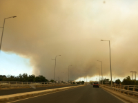 Φωτιά στον Έβρο: Μαίνεται η πύρινη κόλαση – Σε κατάσταση έκτακτης ανάγκης η Αλεξανδρούπολη