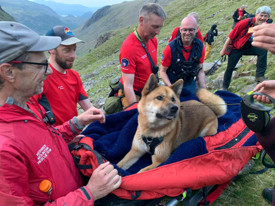 Βρετανία: Τραυματισμένος σκύλος αρνιόταν να κατέβει από βουνό και στήθηκε ολόκληρη επιχείρηση (Εικόνες)