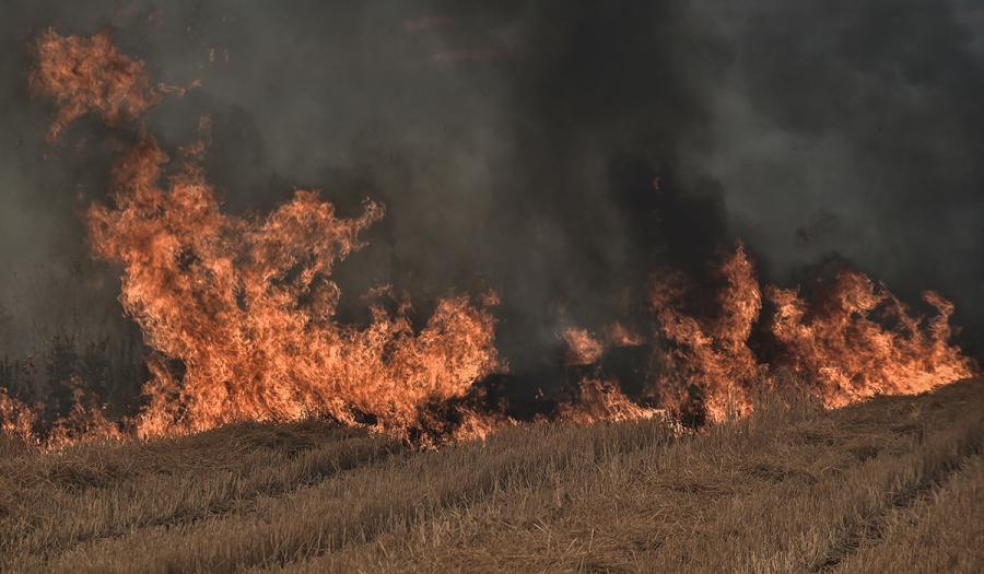 Πολύ υψηλός κίνδυνος πυρκαγιάς αύριο για τις 6 Περιφέρειες – Αναλυτικά ο χάρτης επικινδυνότητας