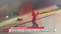 Καλαμάτα: Βίντεο ντοκουμέντο από την πτώση γυναίκας μετά από επίθεση σκυλιών