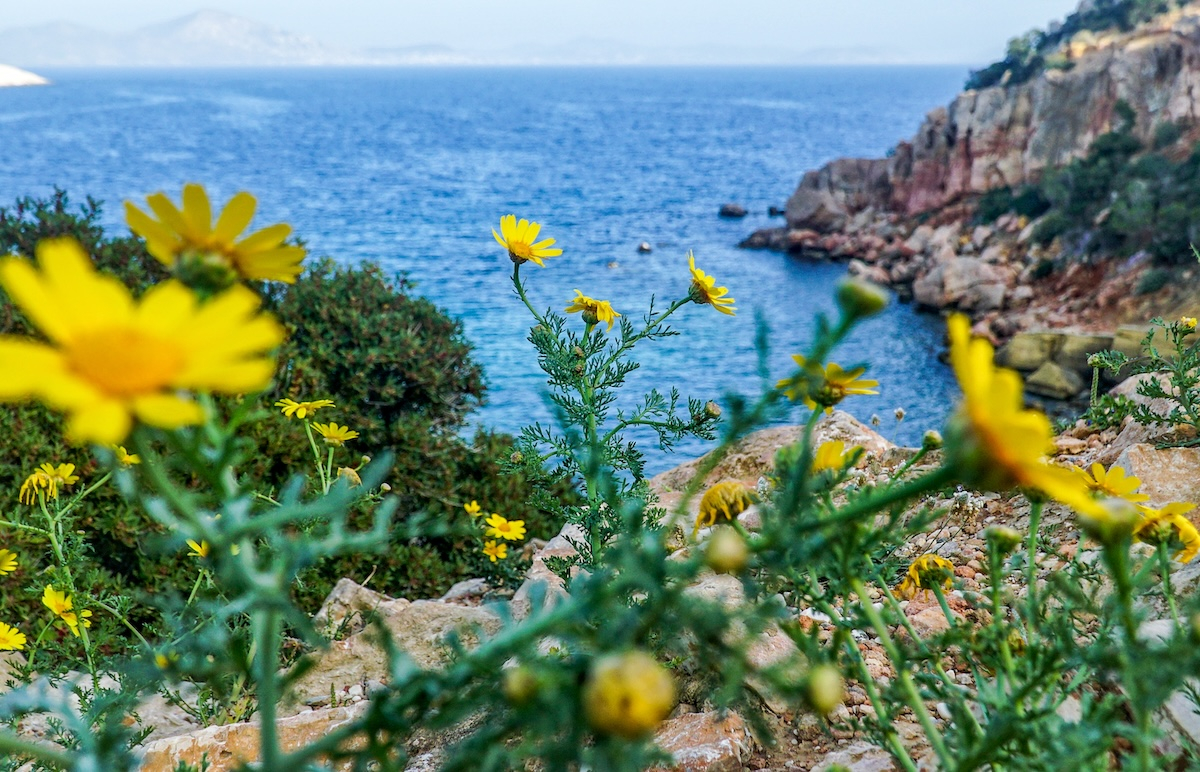 «Καλοκαίρι» σε όλη την Ελλάδα: Ήλιος με 28 βαθμούς και οι περιοχές με πιθανότητα βροχής