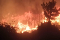 Φωτιά στη Ρόδο: Καίγονται σπίτια στο χωριό Λάερμα - Μηνύματα από το 112 για νέες εκκενώσεις