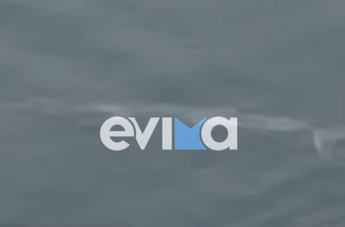 Φάλαινα φυσητήρας «εμφανίστηκε» στην Εύβοια, μοναδικές εικόνες (βίντεο)