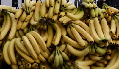 Βέροια: Οι μπανάνες είχαν μέσα... κοκαΐνη - Κατασχέθηκαν πάνω από 100 κιλά