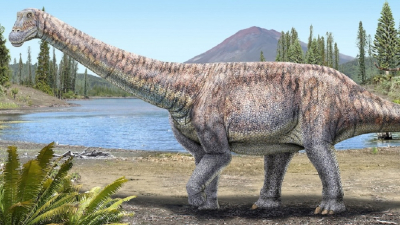 Ο τιτανόσαυρος της ερήμου: Ανακάλυψαν νέο είδος στη Χιλή