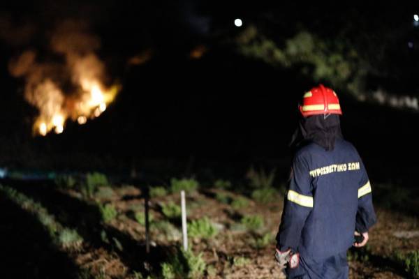 Κέρκυρα: Κάηκαν περισσότερα από 200 στρέμματα - «Οι φωτιές μπήκαν ταυτόχρονα στον Ερημίτη»