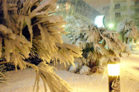 Η Τσικνοπέμπτη του χιονιά στην Αθήνα: «Το χιόνι κατέβαινε με άγριες διαθέσεις» - Τι συνέβη το 2004