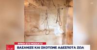 Φρίκη στο Μοσχάτο: Δεκάδες πτώματα και σκελετοί ζώων ανακαλύφθηκαν σε σπίτι (video)
