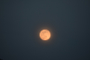 Πανσέληνος: Σήμερα το «Ροζ Φεγγάρι» προσφέρει μαγικές εικόνες