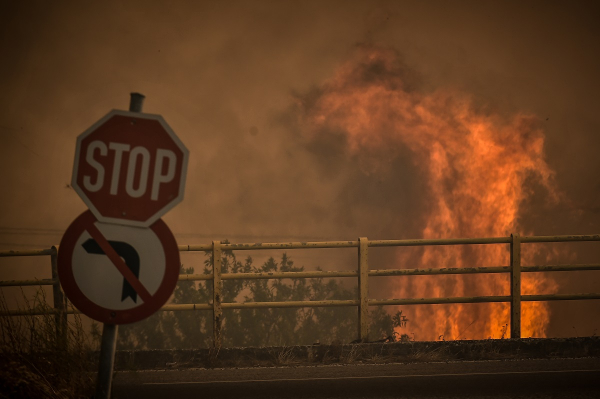 Φωτιά στη Μαγνησία: Στην Αθήνα πυροσβέστης από το Βελεστίνο - Εχει σοβαρά εγκαύματα