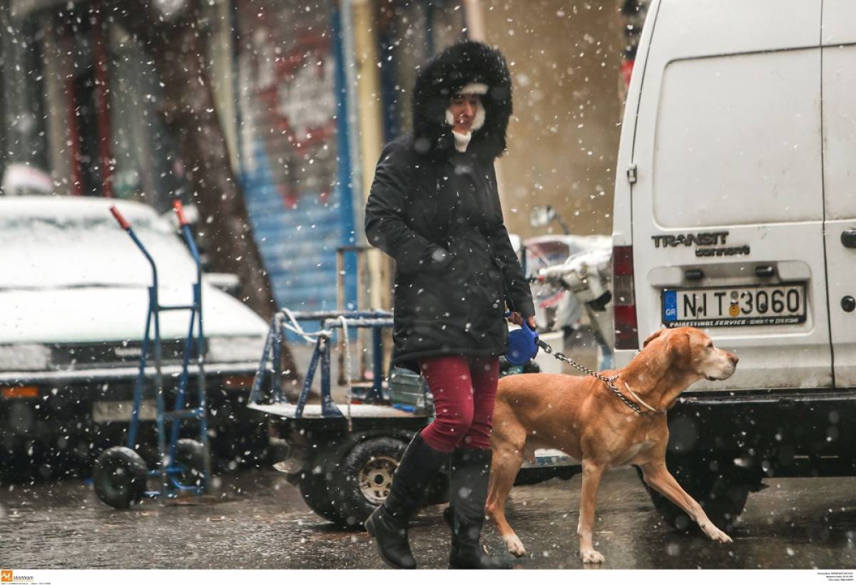 Έντονη χιονόπτωση στη Θεσσαλονίκη - Στα λευκά η πόλη