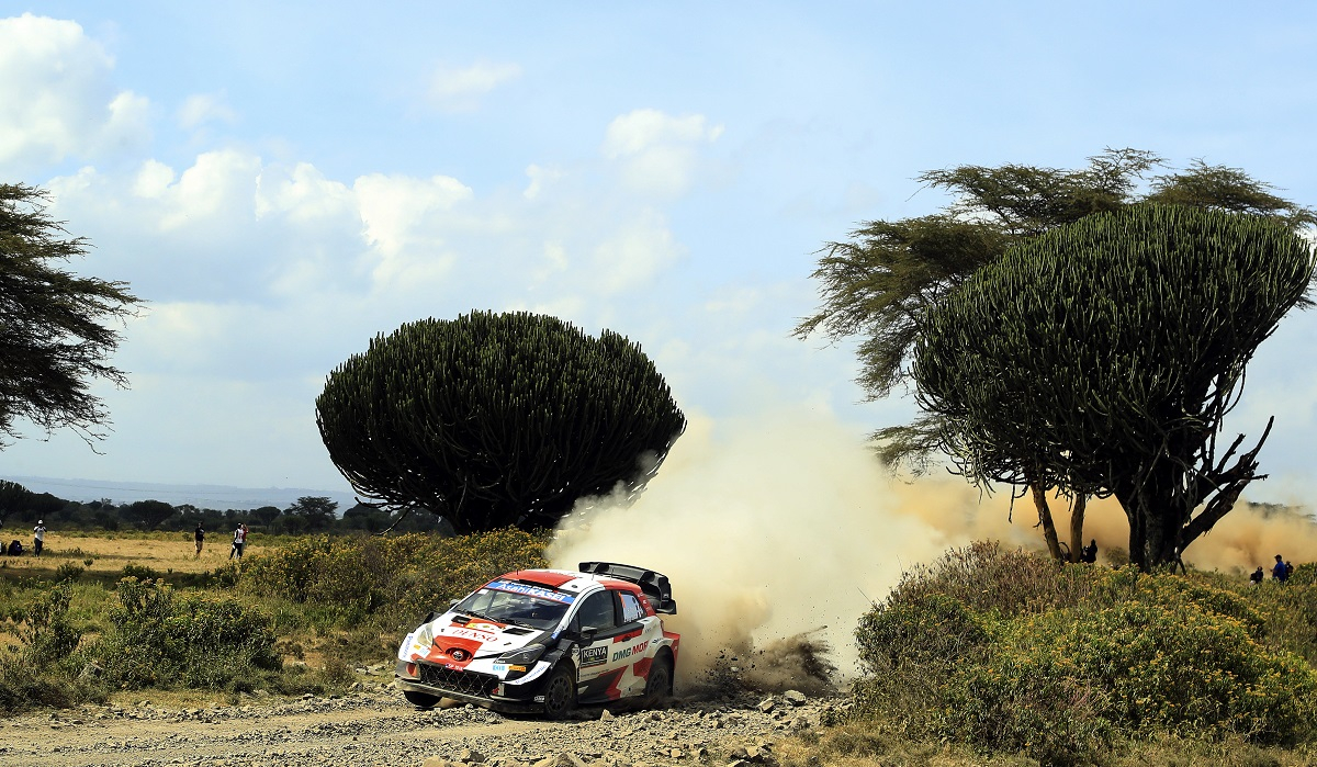 Ράλι Ακρόπολις: Οι οδηγοί του WRC πήγαν για… Σαφάρι