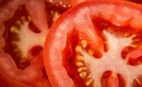 Βρέθηκε το γονίδιο που κάνει νόστιμη τη ντομάτα