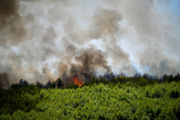 Φωτιά τώρα στα Καλύβια - «Ήχησε» το 112 στην περιοχή Βαλομάνδρα