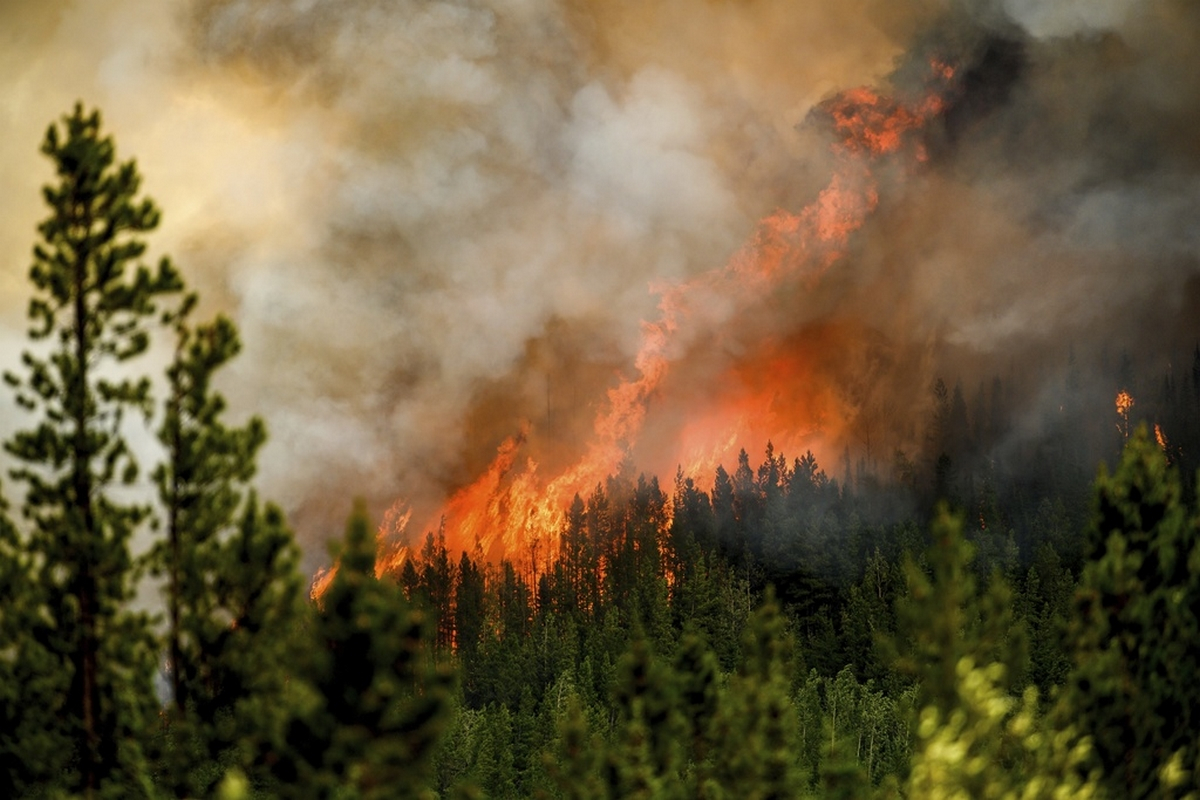 Καναδάς: Εκκενώνεται μια πόλη στη Βρετανική Κολομβία λόγω μεγάλης δασικής πυρκαγιάς