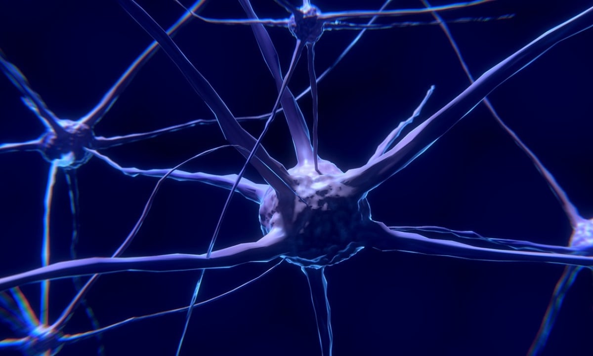 Πώς ο εγκέφαλος αντιλαμβάνεται την γρίπη: Οι νευρώνες, οι αμυγδαλές και η «μάχη» κατά του ιού