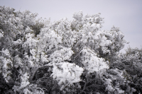 Έξαρση κρύου: Η ώρα της κακοκαιρίας - Πού χιονίζει σήμερα, τι θα γίνει στην Αττική