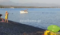 Εύβοια: Έβγαλε τη βάρκα στην παραλία περνώντας δίπλα από λουόμενους (Βίντεο)
