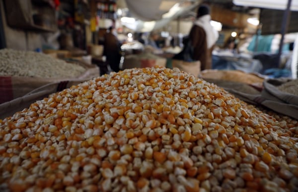Παγκόσμιο σοκ στα τρόφιμα: Η λίστα με τις χώρες που απαγορεύουν τις εξαγωγές